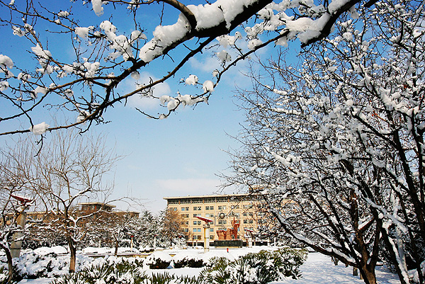东北石油大学雪景图片