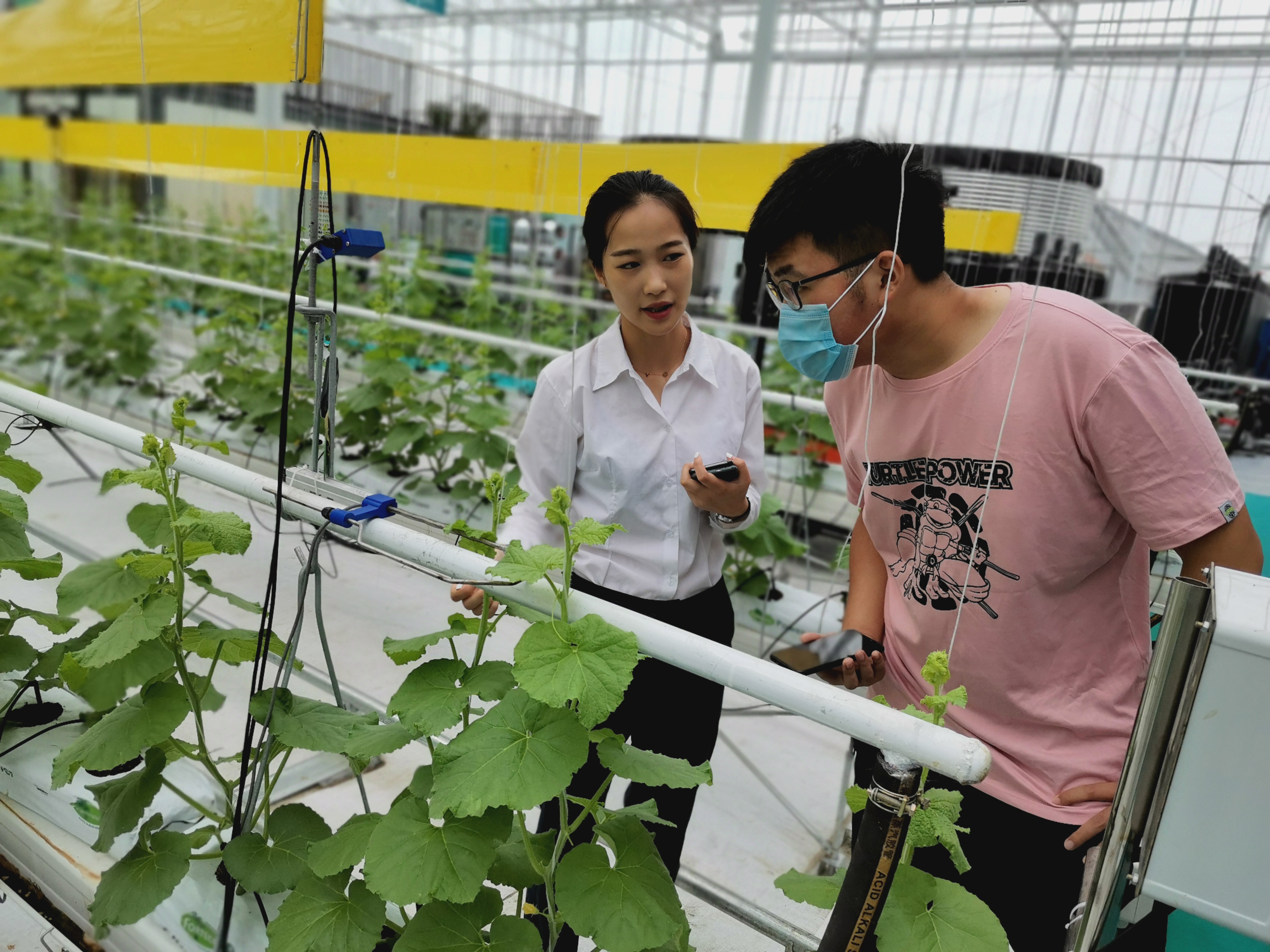 "疫"颗火星实践队:走访蔬菜控股集团,探索智慧农业奥秘